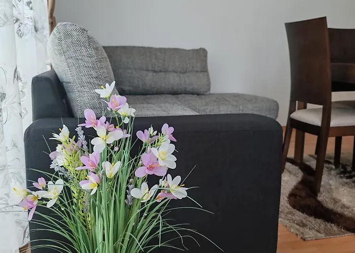 Kabakum Золотые Пески